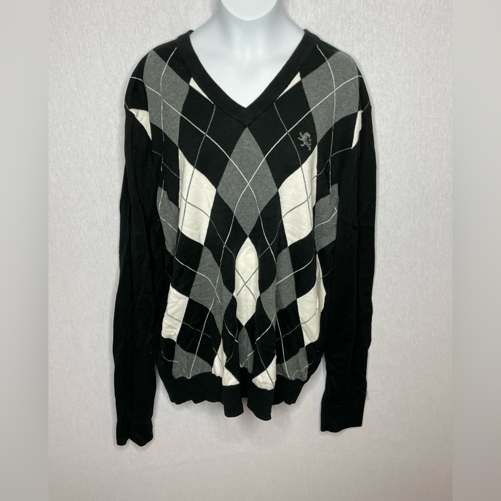 Express V-Neck Sweater - Size Large, Like New